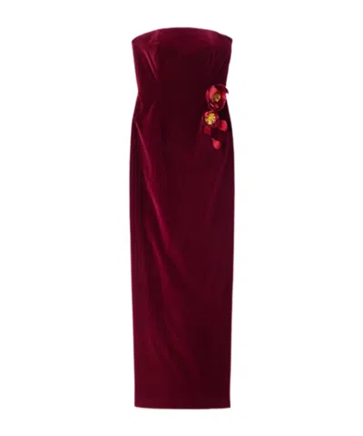 Oscar De La Renta Strapless Appliquéd Cotton-blend Velvet Gown In Brown