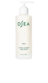 OSEA UNDARIA COLLAGEN BODY LOTION