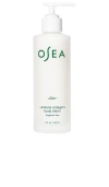 OSEA UNDARIA COLLAGEN FRAGRANCE-FREE BODY LOTION