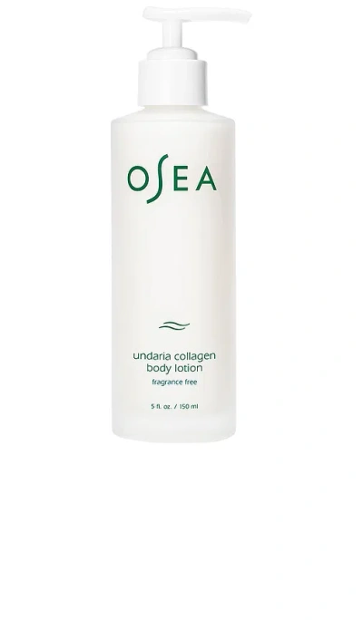 OSEA UNDARIA ALGAE FRAGRANCE-FREE BODY LOTION