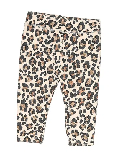 Pre-owned Oshkosh B'gosh Babies' Casual Pants In Brown