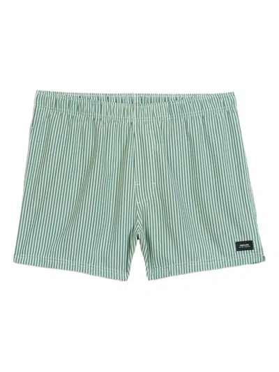 Osklen Litoral Striped Swim Shorts In Green