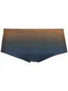Osklen New Grain Lines Swim Trunks In Multi