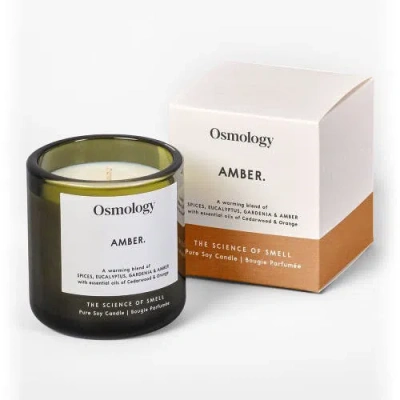 Osmology Amber Scented Candle In Green