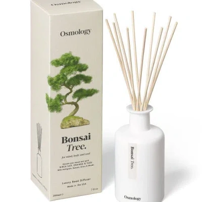 Osmology Bonsai Tree Reed Diffuser In White