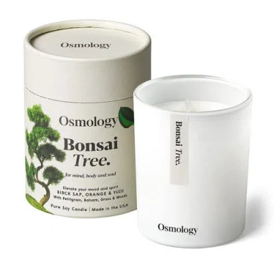 Osmology Bonsai Tree Scented Candle In White