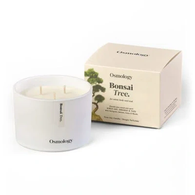 Osmology Bonsai Tree Scented Triple Wick Candle In White