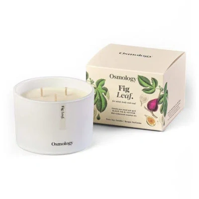 Osmology Fig Leaf Scented Triple Wick Candle In White