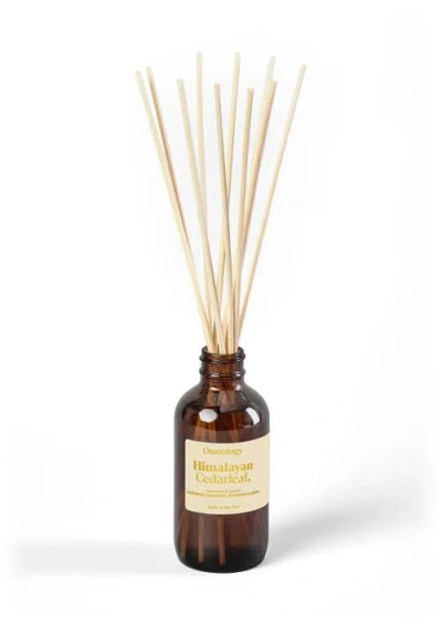 Osmology Himalayan Cedarleaf Amber Diffuser In Transparent
