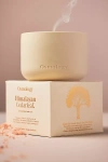 Osmology Himalayan Cedarleaf Boxed Candle