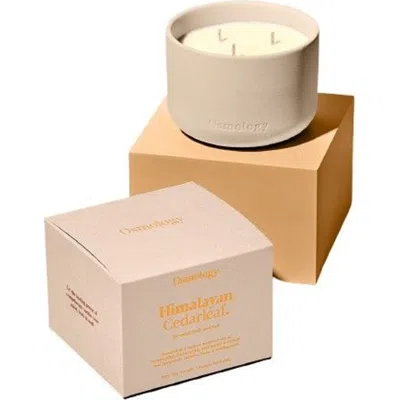 Osmology Himalayan Cedarleaf Scented Triple Wick Candle In White