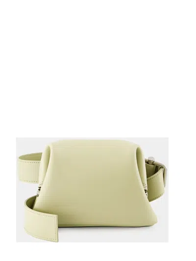 Osoi Leather Crossbody Bag In Green