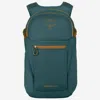 Osprey Daylite™ Plus Backpack In Green