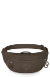 Osprey Daylite Waist Pack In Truffle Brown