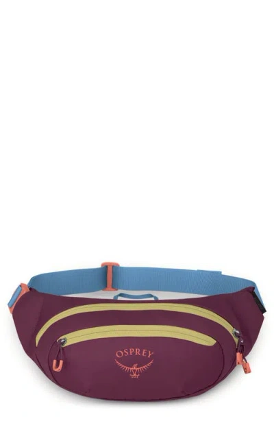 Osprey Daylite Water Repellent Belt Bag In Multi
