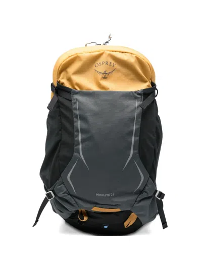 Osprey Hikelite 18 Backpack In Gray