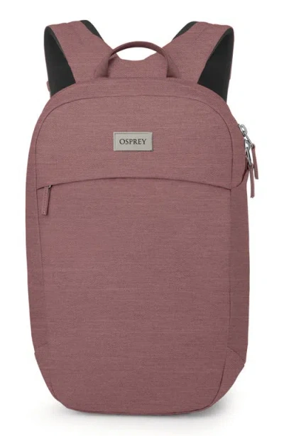 Osprey Large Arcane 21-liter Commuter Backpack In Purple