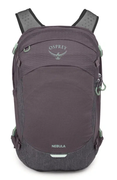 Osprey Nebula 32-liter Backpack In Purple