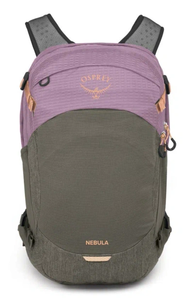 Osprey Nebula 32-liter Backpack In Pashmina/ Tan Concrete