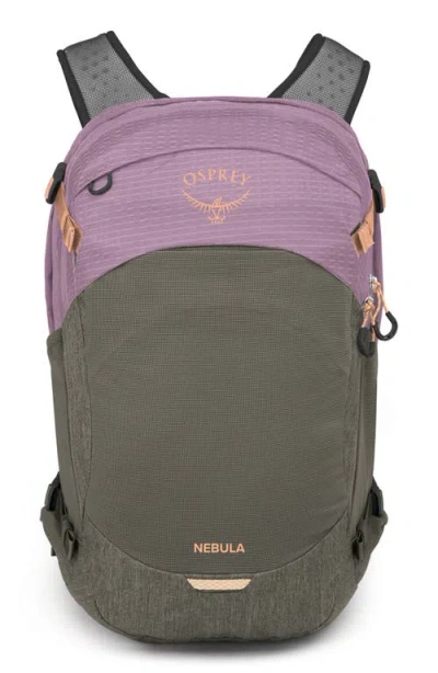 Osprey Nebula 32-liter Backpack In Pashmina/tan Concrete