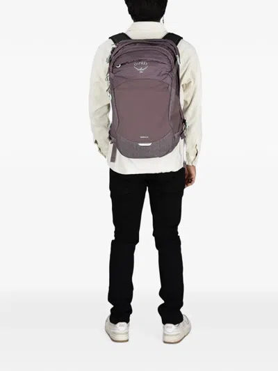 Osprey Nebula Backpack In Purple