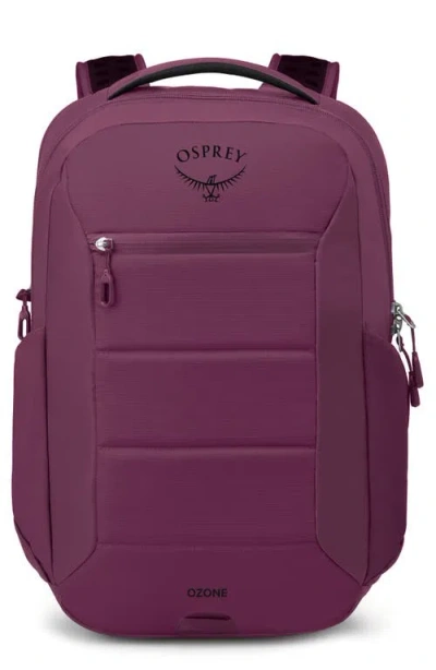 Osprey Ozone Laptop Travel Bag
