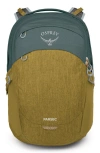 Osprey Parsec 26l Backpack In Burgundy