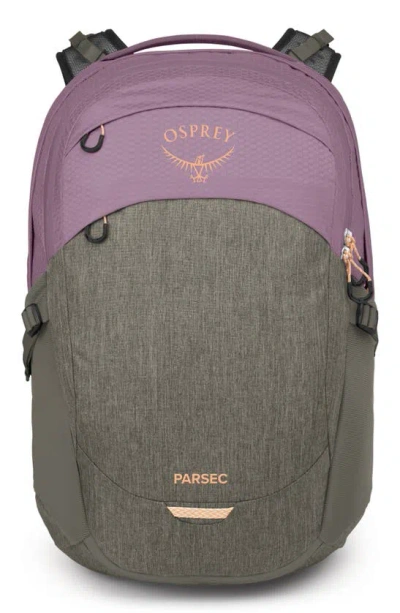 Osprey Parsec 26l Backpack In Multi