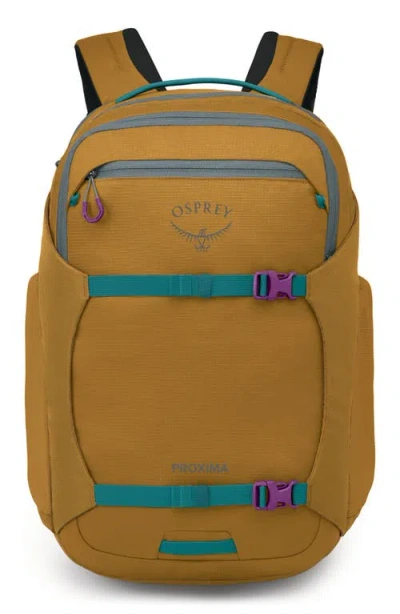 Osprey Proxima 30-liter Campus Backpack In Brown