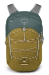 Osprey Quasar 26-liter Backpack In Green Tunnel/ Brindle Brown