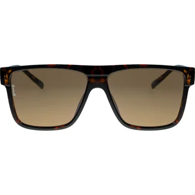 Otra Eyewear Amos Square Sunglasses In Brown
