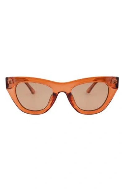 Otra Eyewear Kinni Cat Eye Sunglasses
