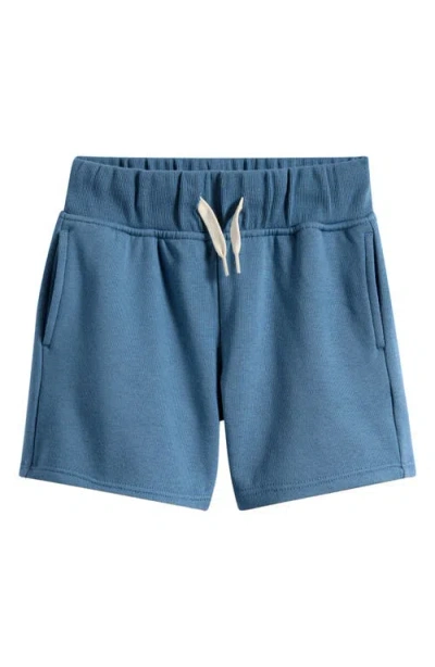 Otter Avenue Babies'  Kids' City Park Shorts In Blue