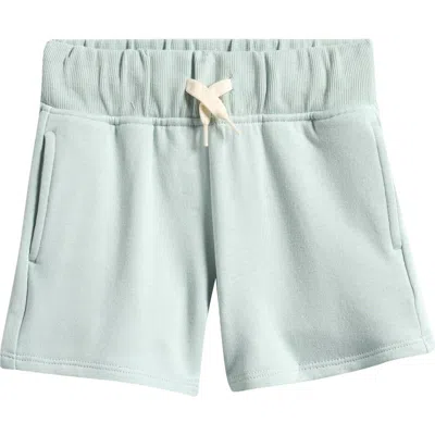 Otter Avenue Babies'  Kids' City Park Shorts In Brown