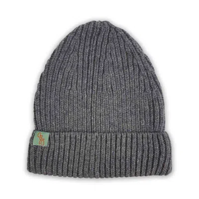 Otto & Spike Men's Beanies - Fixed - College Grey In Gray