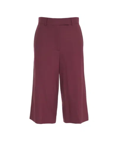 Ottod'ame High-waisted Wide-leg Bermuda Shorts With Pleats In Burgundy