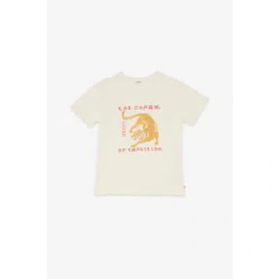 Ottod'ame Printed Cotton T-shirt In Neutral