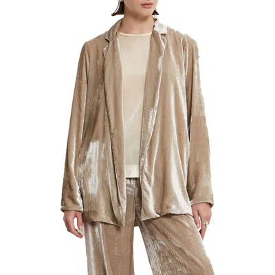 Ottod'ame Velvet Blazer In Brown