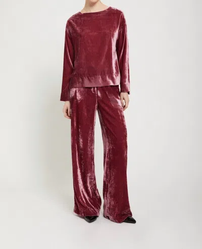 Ottod'ame Velvet Pants In Sangria In Yellow