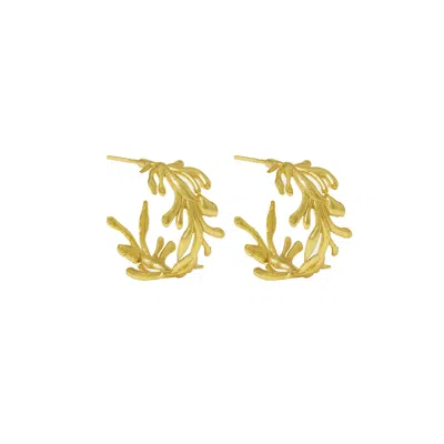 Ottoman Hands Women's Gold Zephyr Hoop Earrings