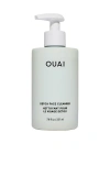Ouai Detox Face Cleanser