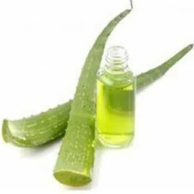 Our Aroma 16 Fl oz Aloe Vera Complementary Oil