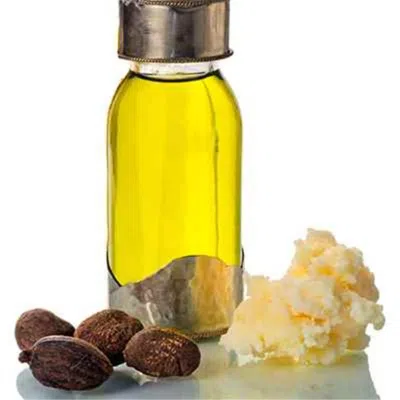 Our Aroma 16 Fl oz Shea Nut Complementary Oil In Multi