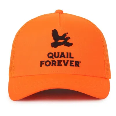 Outdoor Cap Company Adult  Quail Forever Blaze Snapback Hat In Orange