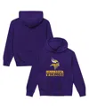 Outerstuff Toddler Purple Minnesota Vikings Back To Basics Hoodie In Purple