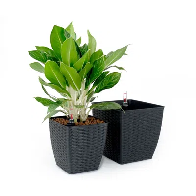 Outsense 2-pack Self-watering Planter - Hand Woven Wicker - Thin Square - Espresso