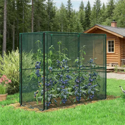 Outsense Crop Cage, Spacious Protection For Tall Crops, Green