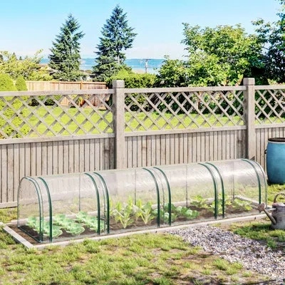 Outsunny 155.5" W X 39.4" D Mini Greenhouse In Clear