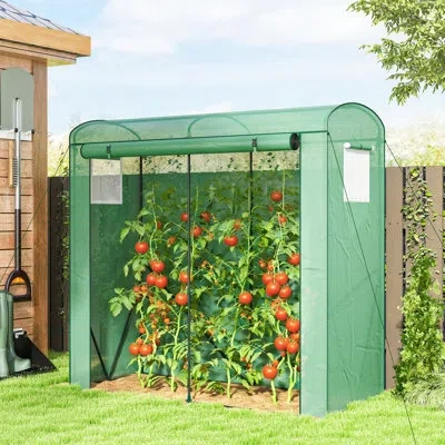 Outsunny Mini Greenhouse, Portable Greenhouse With Roll-up Door And 2 Mesh Windows, Small Green House With Pe