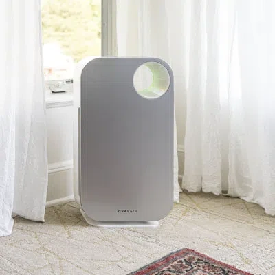 Oval Air Air Purifier Cover In Cool Satin Silver